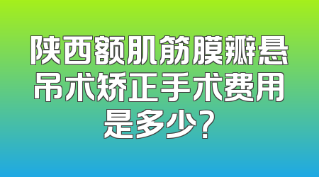 陕西额肌筋膜瓣悬吊术矫正手术费用是多少？