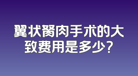 翼状胬肉手术的大致费用是多少？