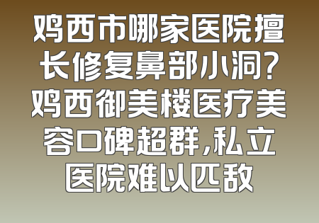 鸡西市哪家医院擅长修复鼻部小洞？鸡西御美楼医疗美容口碑超群，私立医院难以匹敌
