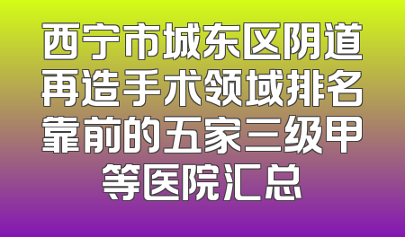 西宁市城东区阴道再造手术领域排名靠前的五家三级甲等医院汇总