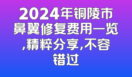 2024年铜陵市鼻翼修复费用一览，精粹分享，不容错过