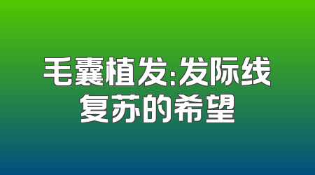 毛囊植发：发际线复苏的希望