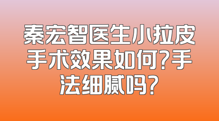 秦宏智医生小拉皮手术效果如何？手法细腻吗？