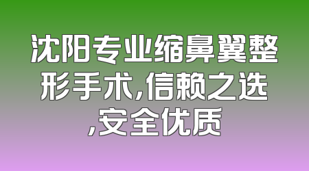 沈阳专业缩鼻翼整形手术，信赖之选，安全优质