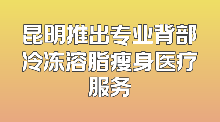 昆明推出专业背部冷冻溶脂瘦身医疗服务