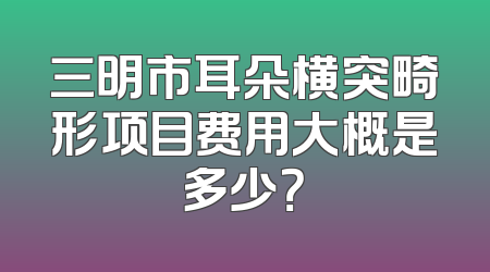 三明市耳朵横突畸形项目费用大概是多少？