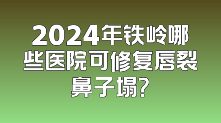 2024年铁岭哪些医院可修复唇裂鼻子塌？
