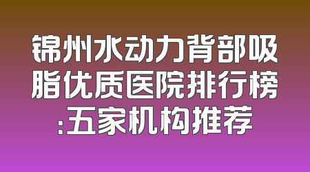锦州水动力背部吸脂优质医院排行榜：五家机构推荐