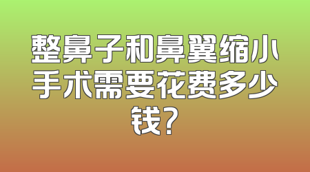 整鼻子和鼻翼缩小手术需要花费多少钱？
