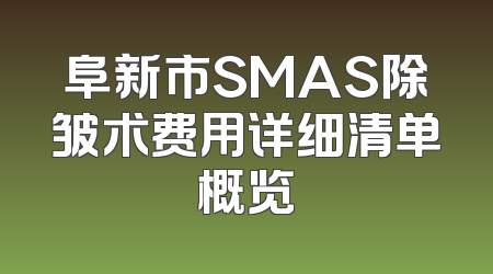阜新市SMAS除皱术费用详细清单概览