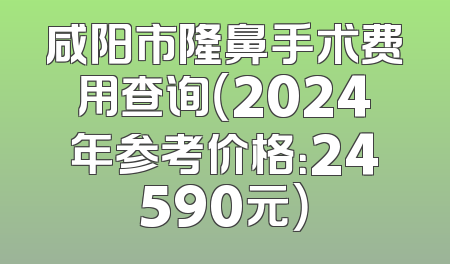 咸阳市隆鼻手术费用查询（2024年参考价格：24590元）