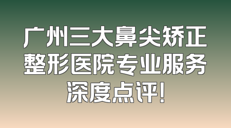 广州三大鼻尖矫正整形医院专业服务深度点评！