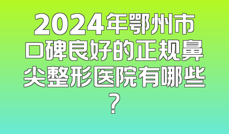 2024年鄂州市口碑良好的正规鼻尖整形医院有哪些？