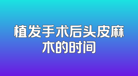 植发手术后头皮麻木的时间