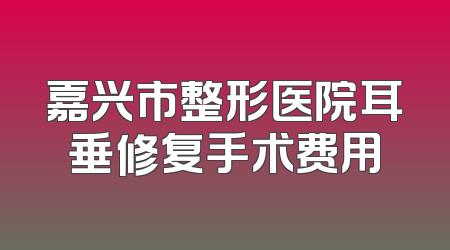 嘉兴市整形医院耳垂修复手术费用