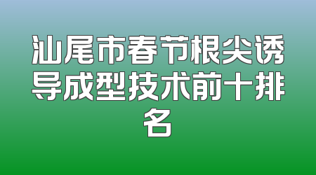 汕尾市春节根尖诱导成型技术前十排名
