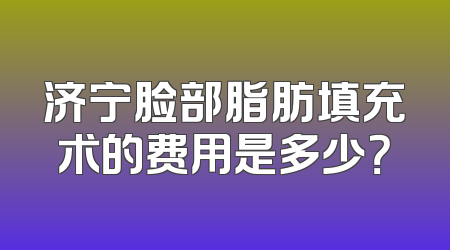 济宁脸部脂肪填充术的费用是多少？