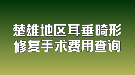 楚雄地区耳垂畸形修复手术费用查询