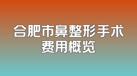 合肥市鼻整形手术费用概览