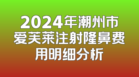 2024年潮州市爱芙莱注射隆鼻费用明细分析