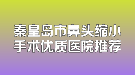 秦皇岛市鼻头缩小手术优质医院推荐