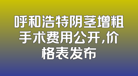 呼和浩特阴茎增粗手术费用公开，价格表发布