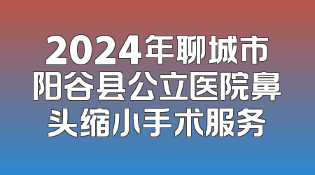 2024年聊城市阳谷县公立医院鼻头缩小手术服务