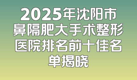 2025年沈阳市鼻隔肥大手术整形医院排名前十佳名单揭晓