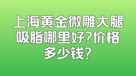 上海黄金微雕大腿吸脂哪里好？价格多少钱？