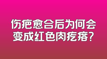 伤疤愈合后为何会变成红色肉疙瘩？