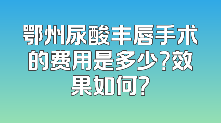 鄂州尿酸丰唇手术的费用是多少？效果如何？
