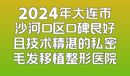 2024年大连市沙河口区口碑良好且技术精湛的私密毛发移植整形医院
