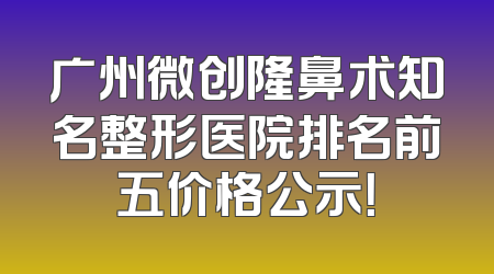 广州微创隆鼻术知名整形医院排名前五价格公示！