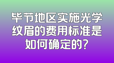 毕节地区实施光学纹眉的费用标准是如何确定的？