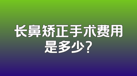 长鼻矫正手术费用是多少？