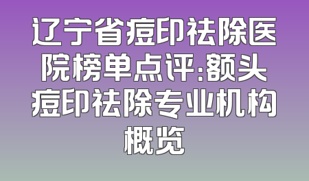 辽宁省痘印祛除医院榜单点评：额头痘印祛除专业机构概览