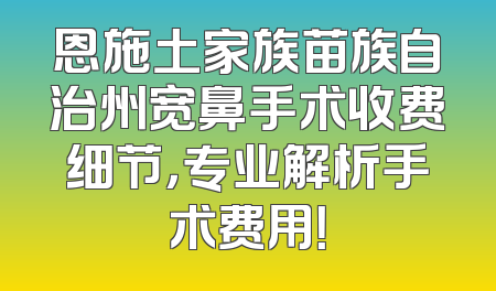 恩施土家族苗族自治州宽鼻手术收费细节，专业解析手术费用！
