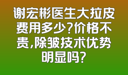 谢宏彬医生大拉皮费用多少？价格不贵，除皱技术优势明显吗？