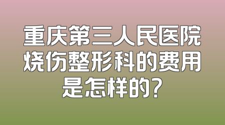 重庆第三人民医院烧伤整形科的费用是怎样的？