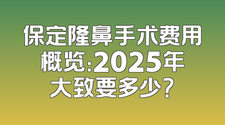 保定隆鼻手术费用概览：2025年大致要多少？