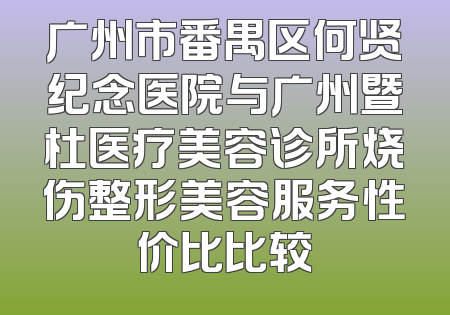广州市番禺区何贤纪念医院与广州暨杜医疗美容诊所烧伤整形美容服务性价比比较