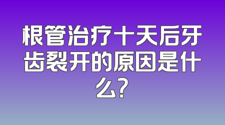根管治疗十天后牙齿裂开的原因是什么？