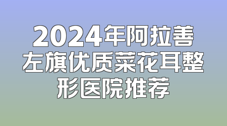 2024年阿拉善左旗优质菜花耳整形医院推荐