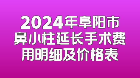 2024年阜阳市鼻小柱延长手术费用明细及价格表