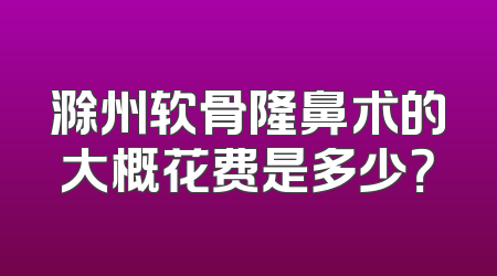 滁州软骨隆鼻术的大概花费是多少？