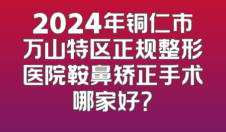 2024年铜仁市万山特区正规整形医院鞍鼻矫正手术哪家好？