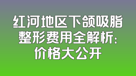 红河地区下颌吸脂整形费用全解析：价格大公开