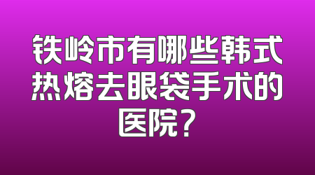 铁岭市有哪些韩式热熔去眼袋手术的医院？