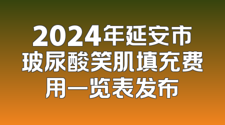 2024年延安市玻尿酸笑肌填充费用一览表发布