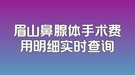 眉山鼻腺体手术费用明细实时查询